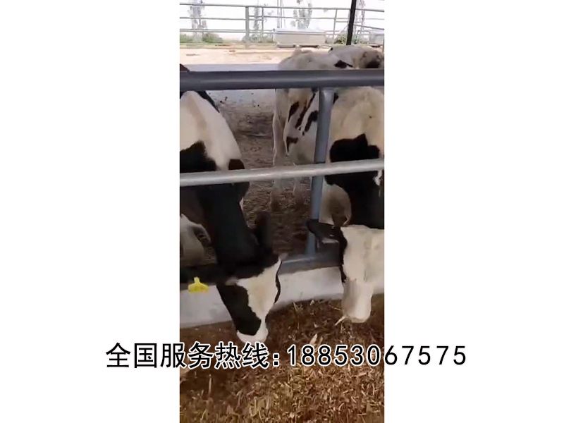 全日糧匯合飼料攪拌機實拍視頻